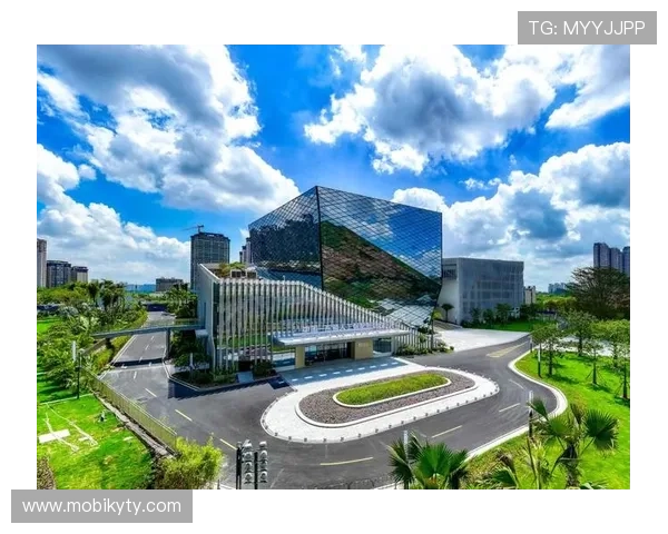 开云中国：结合中国文化元素的品牌创新与本土化营销策略探讨